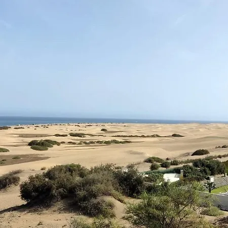 Dalius - With Pool Near The Dunes Of Maspalomas アパート *